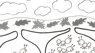 kalabalık tenha kavramı çalışma sayfası okul öncesi