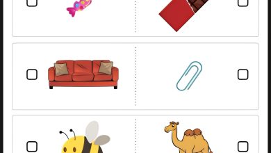 okul öncesi ağır hafif kavramı