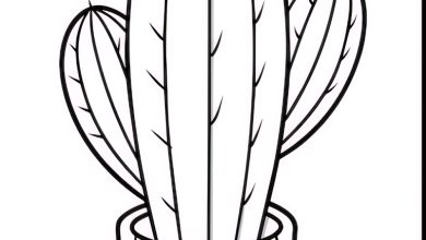 kaktüs kalıbı okul öncesi etkinlikarsiv.com