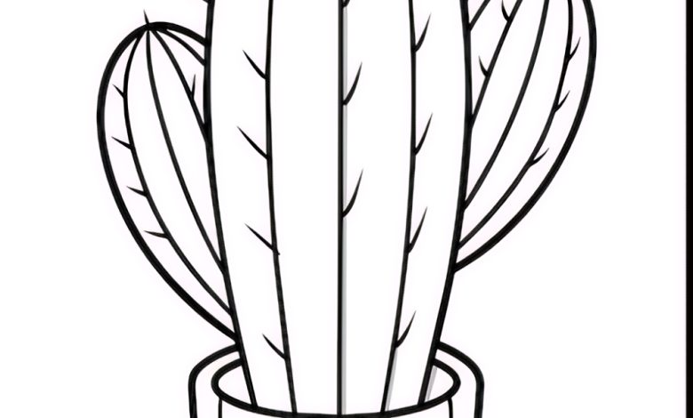 kaktüs kalıbı okul öncesi etkinlikarsiv.com