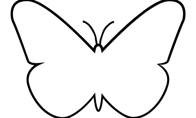 kelebek kalıbı okul öncesi