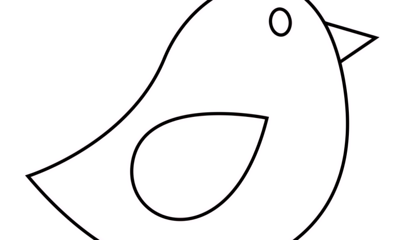 kuş kalıbı okul öncesi