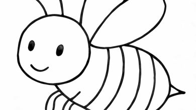 okul öncesi arı boyama sayfası