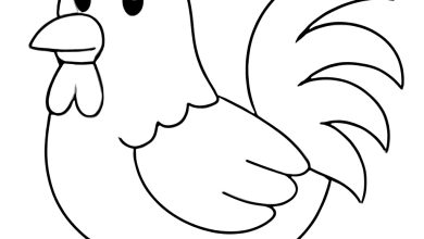 horoz boyama sayfası