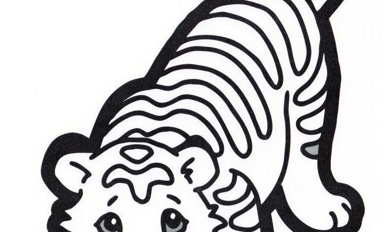 kaplan boyama sayfası okul öncesi