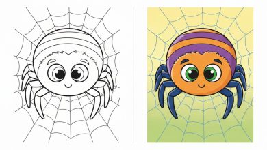 örümcek boyama sayfası