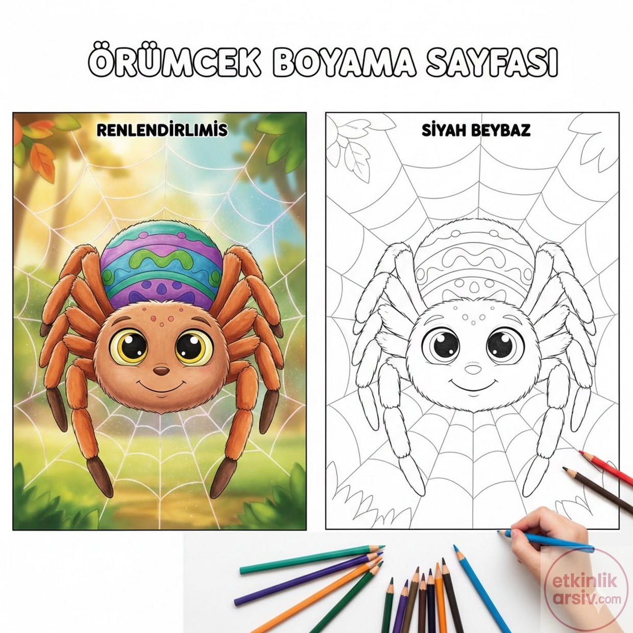 örümcek boyama sayfası