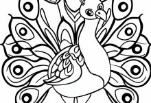 tavus kuşu boyama okul öncesi