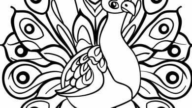 tavus kuşu boyama okul öncesi