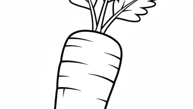 havuç boyama okul öncesi