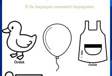 ö sesi etkinlikleri okul öncesi