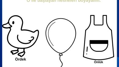 ö sesi etkinlikleri okul öncesi