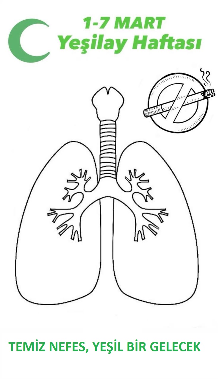 yeşilay haftası sanat etkinliği kalıplı