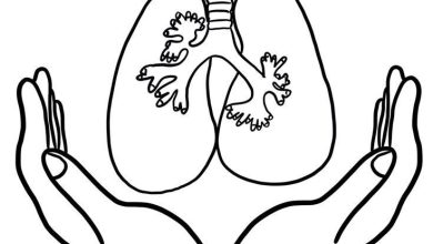 yeşilay haftası sanat etkinliği kalıplı