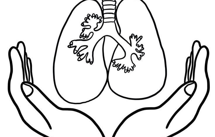 yeşilay haftası sanat etkinliği kalıplı