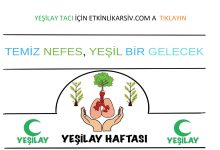 yeşilay tacı kalıplı