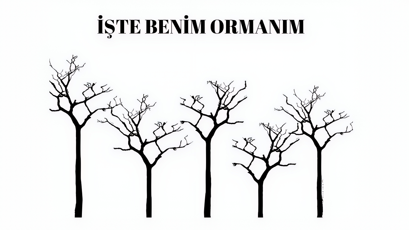 orman haftası sanat etkinliği