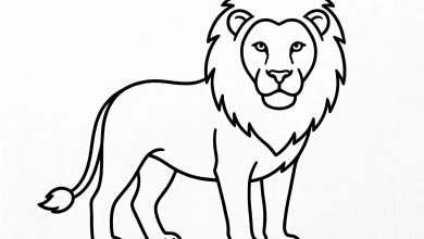 Aslan boyama sayfası