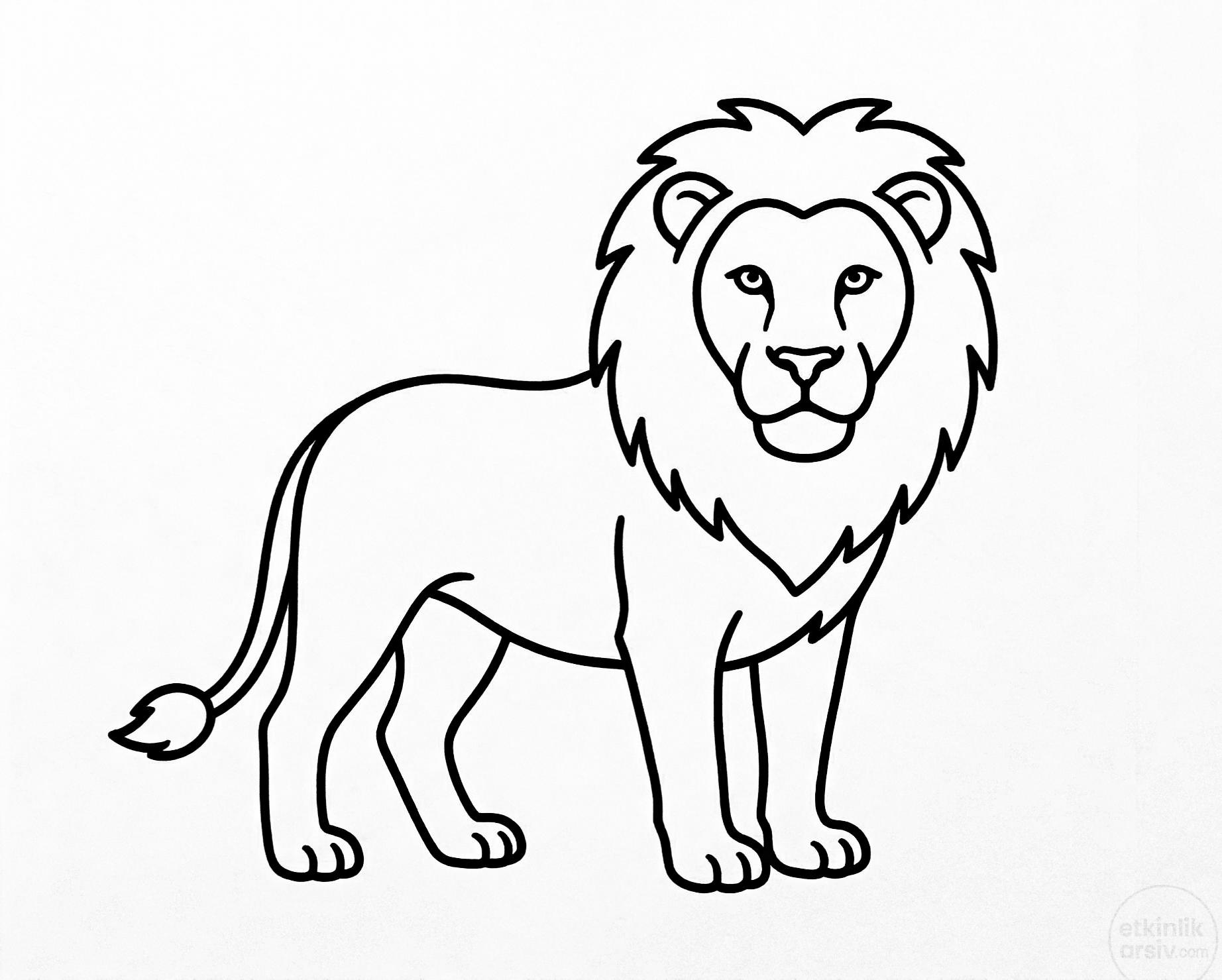 Aslan boyama sayfası