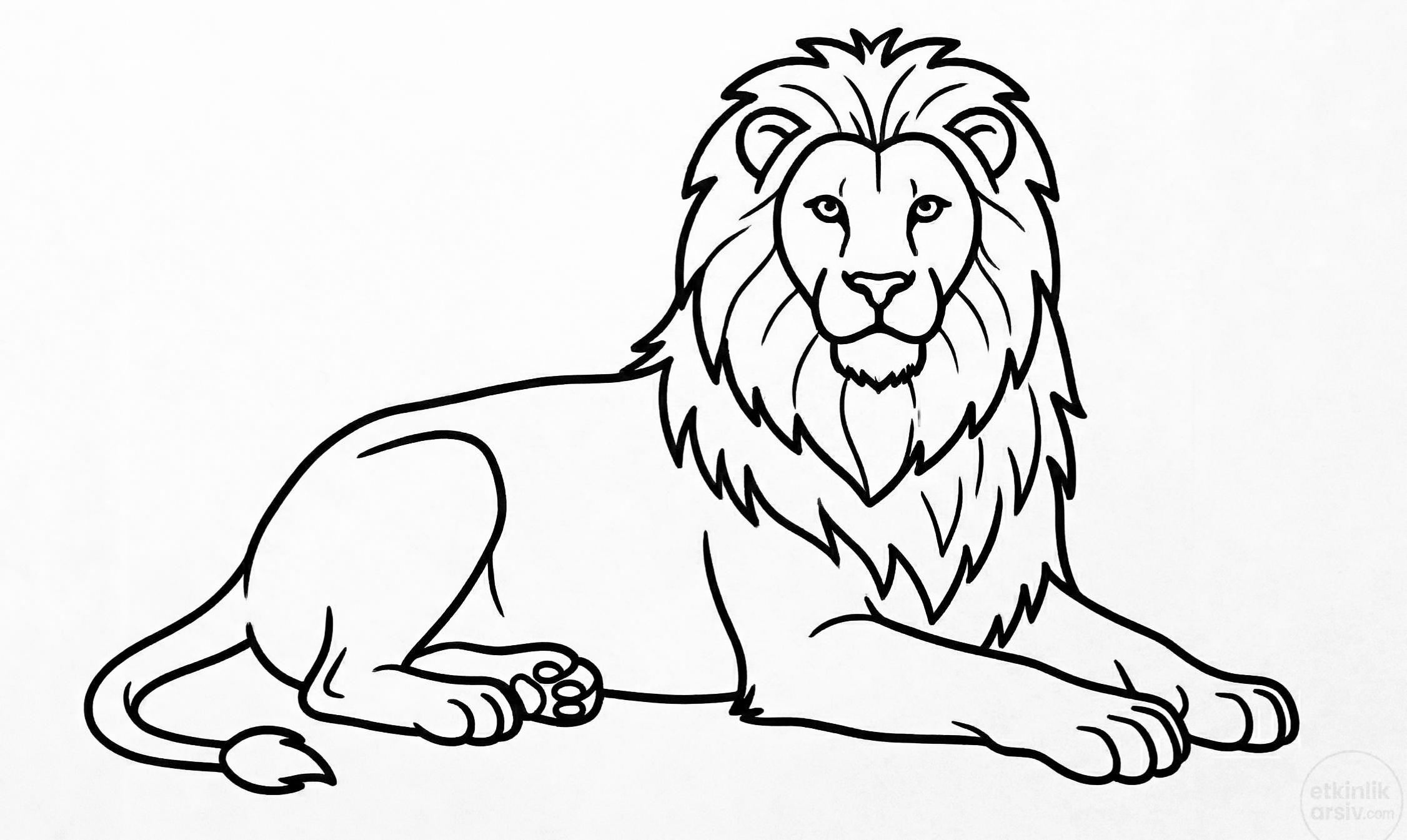 Aslan boyama sayfası