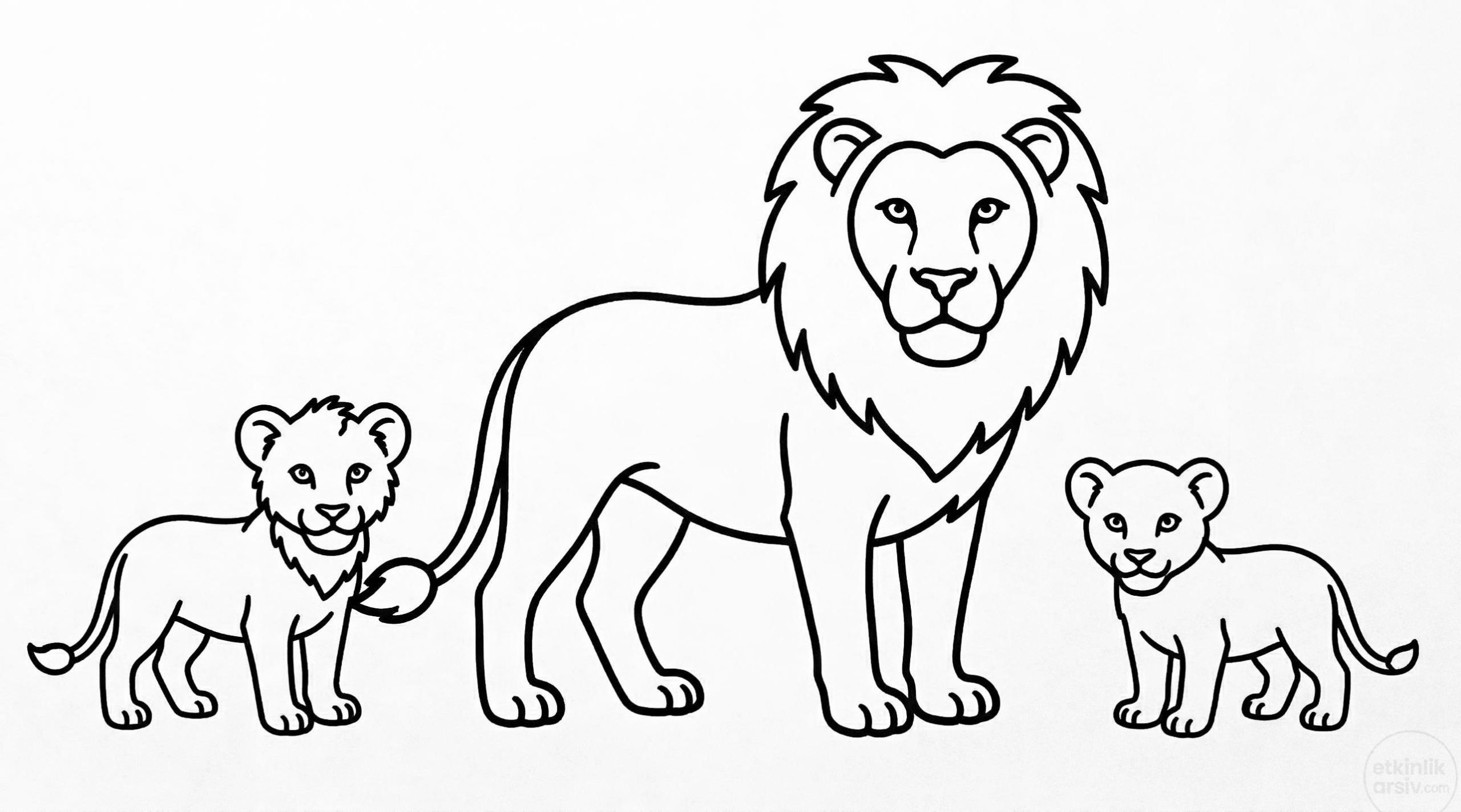 Aslan boyama sayfası